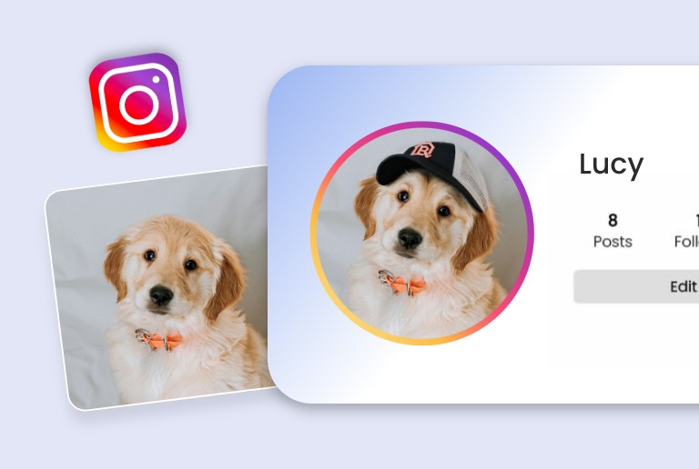 Add a hat to a dog in a photo for use as a profile picture