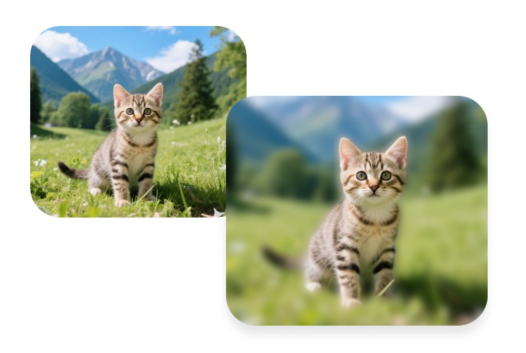 Blur the background of a photo of a cute cat and highlight its main subject