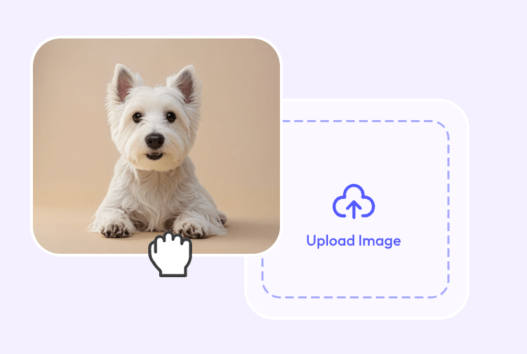 Upload a picture of a dog on pxbee background color changer