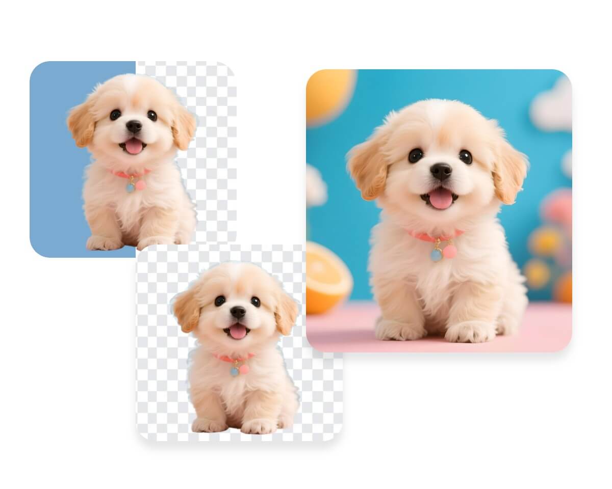 Remove the background of a photo of a cute puppy and replace it with a new background