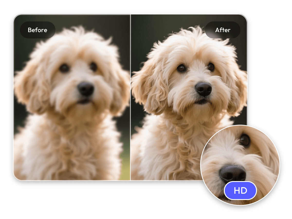 Repair an enhance blurry photos with hd image converter